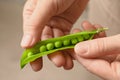 Young woman shelling fresh green peas Royalty Free Stock Photo