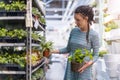 Woman shopping in plant store