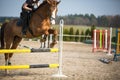 Young woman show jumping Royalty Free Stock Photo