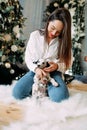 Woman sits near Christmas tree and plays with puppy of dalmatian dog