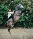 Woman sits on horseback on a rearing horse Royalty Free Stock Photo