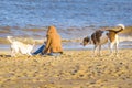 Woman with Pets at Beach