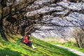 Young woman sitting in cherry blossom garden on a spring day. Row cherry blossom trees in Kyoto, Japan Royalty Free Stock Photo