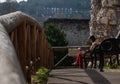 A young woman sitting reading book on wooden bench in Guildford Castle and Grounds Royalty Free Stock Photo