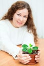 Young woman sitting at the table and stretched in hands green plant Royalty Free Stock Photo