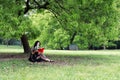 Read a book sitting under a blossom tree Royalty Free Stock Photo