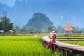 Young woman sitting on wooden path with green rice field in Vang Vieng, Laos Royalty Free Stock Photo