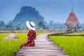 Young woman sitting on wooden path with green rice field in Vang Vieng, Laos Royalty Free Stock Photo