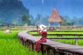 Young woman sitting on wooden path and take a photo by camera with green rice field in Vang Vieng, Laos Royalty Free Stock Photo