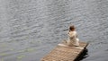 Young woman sitting on the wooden pier, resting and looking at the river, top view. Summer time Royalty Free Stock Photo