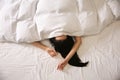 Young woman sleeping in bed covered with white blanket, top view Royalty Free Stock Photo