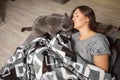 Young woman sleeping with her funny cat, british cat walks girl while she sleeps, cat licks the girl Royalty Free Stock Photo