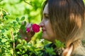 Young woman smelling a flower, woman in the garden Royalty Free Stock Photo