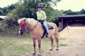 A young woman with a smile on her face is sitting astride a horse Royalty Free Stock Photo