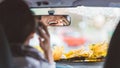 Young woman smiling and laughing to rear-view mirror in a car while talking on phone and driving Royalty Free Stock Photo