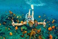 Young woman snorkeling with coral reef fishes Royalty Free Stock Photo