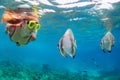 Young woman in snorkeling mask dive underwater with tropical fishes