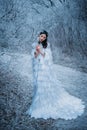 Young woman snow queen. Fantasy cape, white feathers. Creative clothes sexy dress. Fashion model beautiful face. Elven Royalty Free Stock Photo