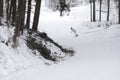 Young woman snowboarder in motion on snowboard in mountains Royalty Free Stock Photo