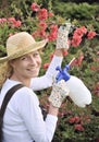 Young woman spraying tree