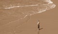 Young woman watching the waves