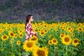 Young woman standing in a field of sunflowers Royalty Free Stock Photo