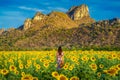 Young woman standing in a field of sunflowers Royalty Free Stock Photo