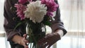 A young woman standing in a modern cozy living room puts a vase with a bouquet of beautiful fresh lilac peonies on the Royalty Free Stock Photo