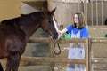 a young woman petting a horse at a stable with two other horses in the Royalty Free Stock Photo