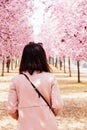 Young woman standing in a tranquil atmosphere surrounded by a canopy of delicate pink blossoms