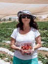 Young woman stands on a background of green beds and shows a box with freshly harvested red ripe strawberries Royalty Free Stock Photo