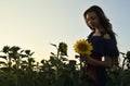 A young woman stands among the fields of sunflowers