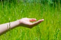 Young woman streches out hand with opened empty palm up above green grass