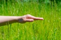 Young woman streches out hand with palm down and touches green grass at summertime