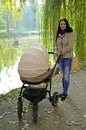 Young Woman With A Stroller In A City Park. Happy Mother With A Baby Stroller