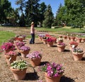 Young woman strolling through gardens