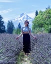 Lavender Farm, Mount Hood, Oregon, USA Royalty Free Stock Photo