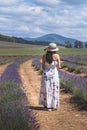 Portrait of beautiful romantic woman floral dress and stylish hat in field of lavender flowers Royalty Free Stock Photo