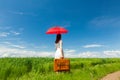 Young woman with suitcase and umbrella Royalty Free Stock Photo