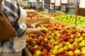 Young woman in a supermarket. Woman holding red apples while choosing fresh fruits and vegetables at farmers market, copy space. Royalty Free Stock Photo
