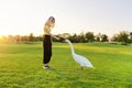 Young woman and swan, teenager together with swan on green lawn