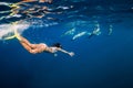 Young woman swim underwater with dolphins in ocean. Mauritius Royalty Free Stock Photo
