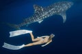 Young woman swimming with Whale shark in blue ocean. Silhouette of giant shark underwater and beautiful lady Royalty Free Stock Photo