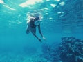 Young woman swims in the sea with fish