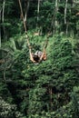 Young woman swings in the jungle of Bali island. Rainforest of Indonesia. Travel concept.