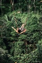 Young woman swings in the jungle of Bali island. Rainforest of Indonesia. Travel concept.