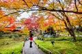 Young woman take a photo in autumn park. Colorful leaves in autumn, Kyoto in Japan Royalty Free Stock Photo