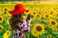 Young woman take a photo in a field of sunflowers Royalty Free Stock Photo