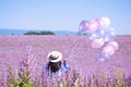 Young woman is taking balloon and travel at flower field in Valensole, France during summer Royalty Free Stock Photo