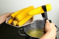 Young woman taking boiled corn cob from pot on stove Royalty Free Stock Photo